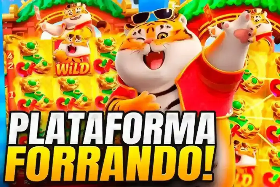 qualidade da interface e experiência do usuário qualidade da interface e experiência do usuário